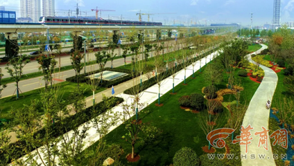 西安歐亞大道變身巨型盆景打卡地，年底將完成全部栽植綠化工程
