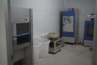 雙興新盛木耳菌包廠 優質菌包熱銷中，專業技術助力致富路